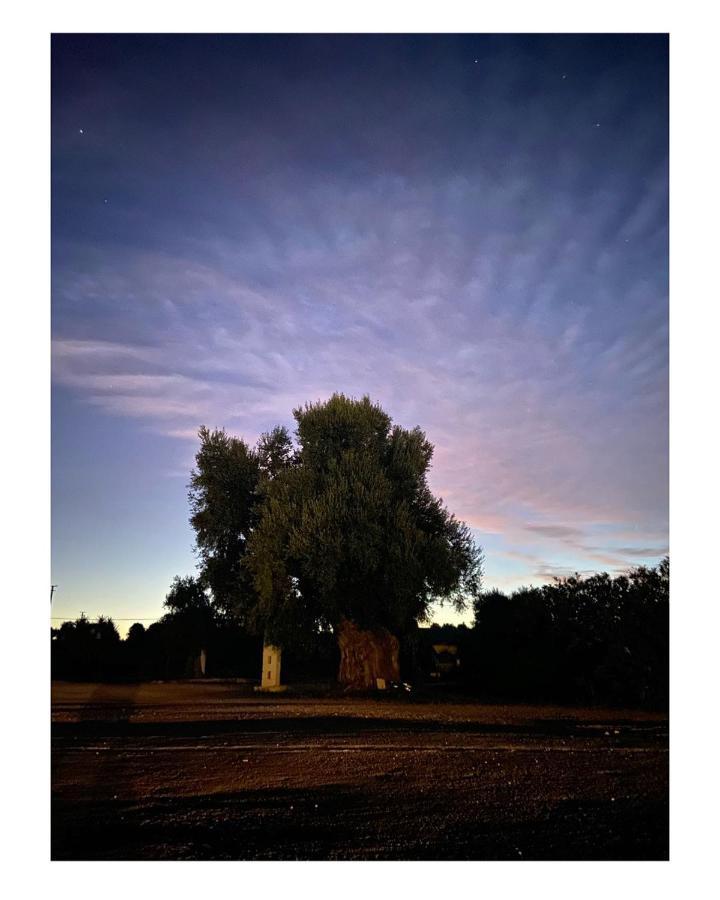 Masseria Conca D'Oro Ostuni Exteriör bild