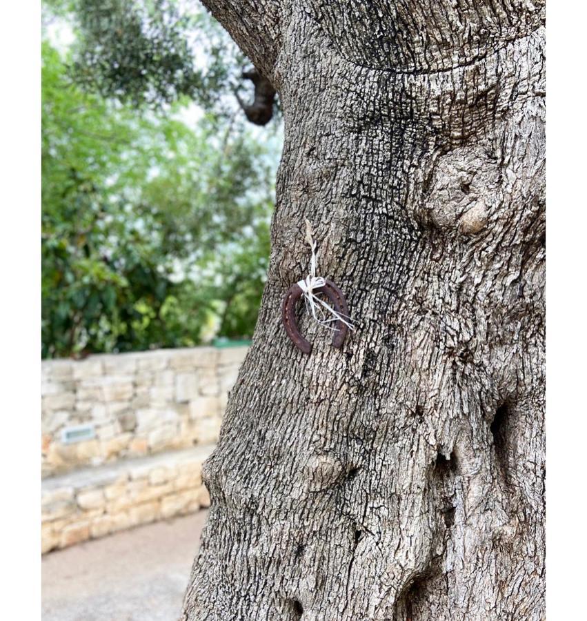 Masseria Conca D'Oro Ostuni Exteriör bild